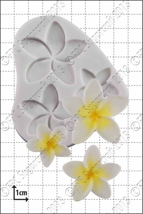 'Frangipani' Silicone Mould